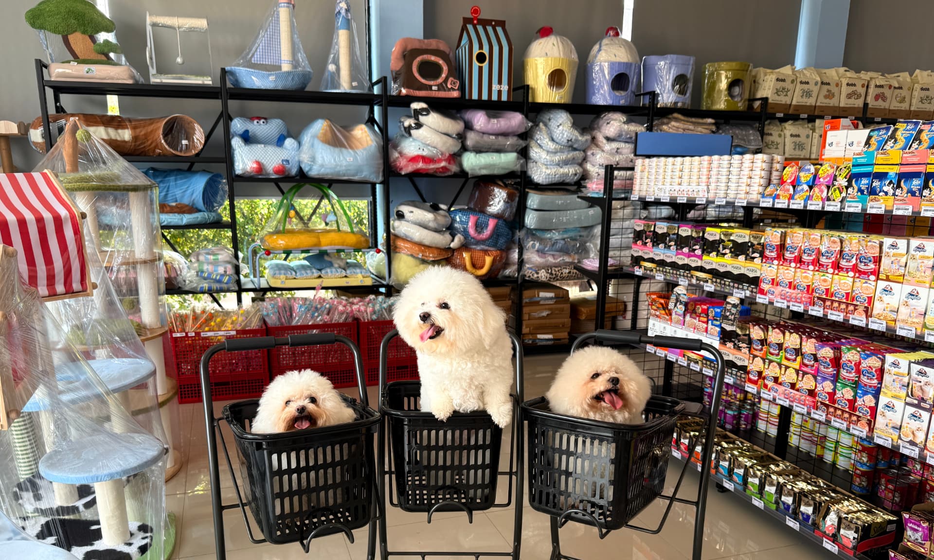 Pet Shop อาหารและของใช้